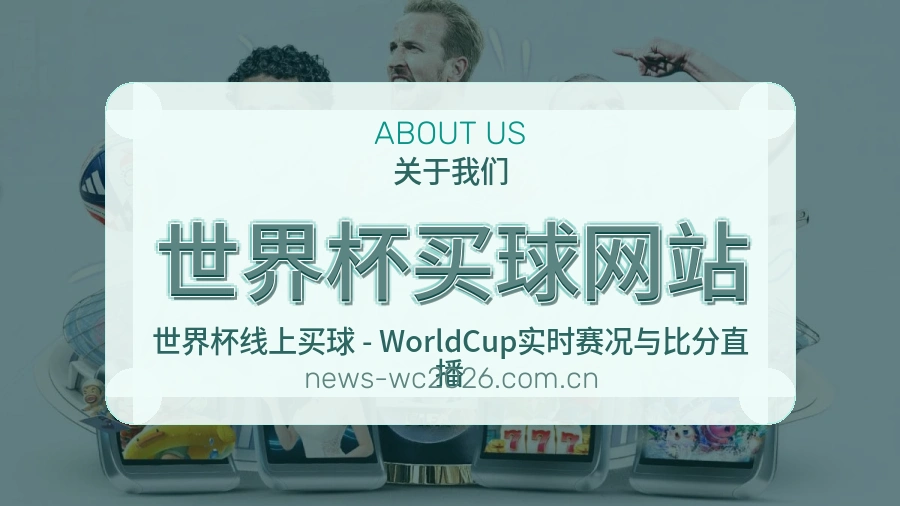 体育赛事用户帮助与关于我们服务图
